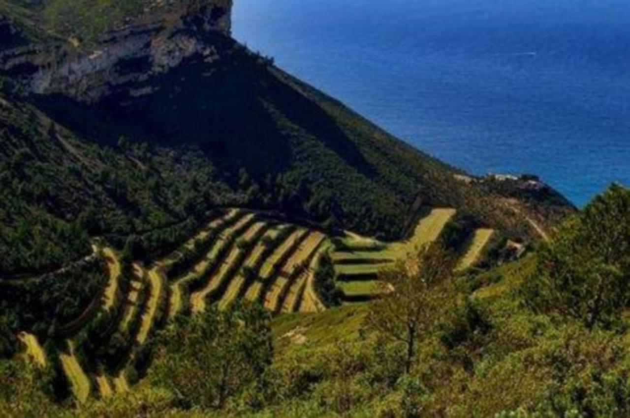 Horizon Bleu Vue Mer Cassis Ngoại thất bức ảnh